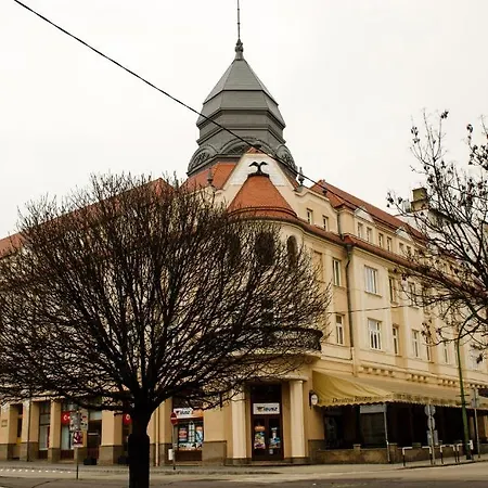 호텔 Dorottya 캐스포바